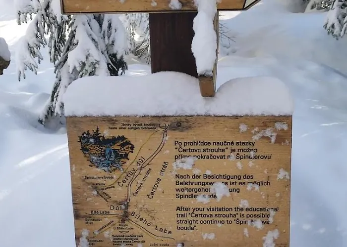 Pensionat Bouda Bile Labe 3*