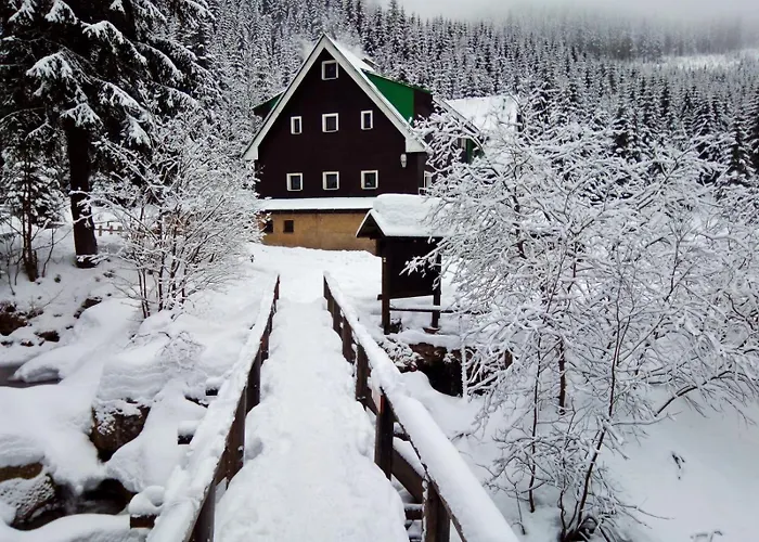 Bouda Bile Labe Pensionat 3*