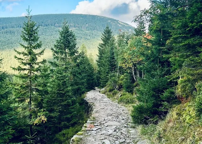 Bouda Bile Labe Pensionat Špindlerŭv Mlýn