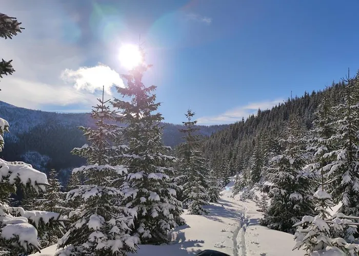 Bouda Bile Labe Pensionat