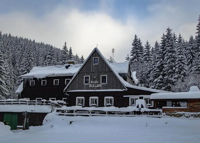 Bouda Bile Labe Pensionat 3*